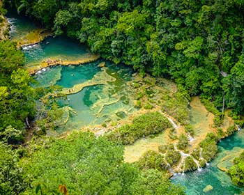 Nature du Guatemala