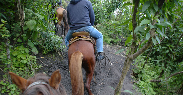 Paseo a caballo