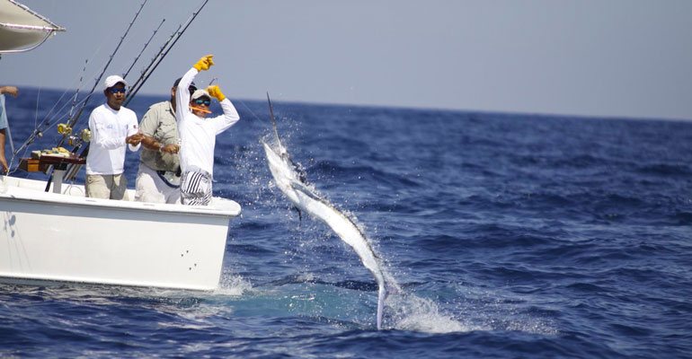 Pêche sportive