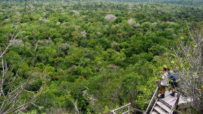 el-mirador-view